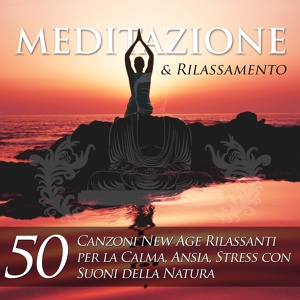 Обложка для Zen Nadir - Meditazione: Amore Universale