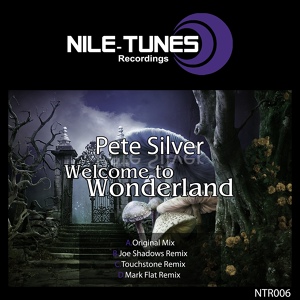 Обложка для Pete Silver - Welcome To Wonderland (Touchst