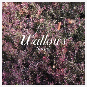Обложка для Wallows - Pictures of Girls