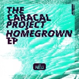 Обложка для The Caracal Project - Bogy