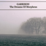Обложка для GARRISON - Parallel world