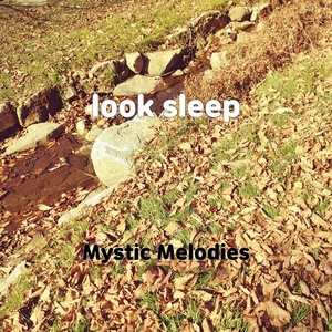 Обложка для Mystic Melodies - fast hip hop