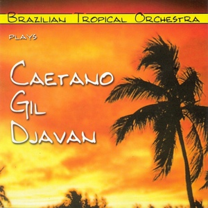 Обложка для Brazilian Tropical Orchestra - Baby