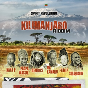 Обложка для Spirit Revolution feat. Mr Kamanzi - Kilimanjaro