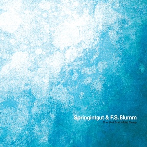 Обложка для Springintgut, F.S. Blumm - Kopffüßler
