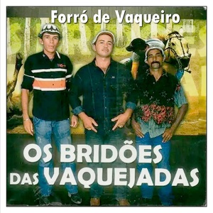 Обложка для Os Bridões das Vaquejadas - Vamos vaqueirama, vamos farrear - Ao Vivo