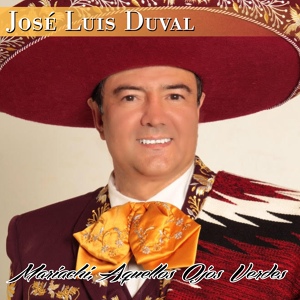 Обложка для José Luis Duval - Amor de los Dos