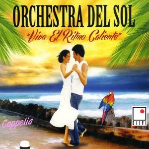 Обложка для Orchestra Del Sol - Anda la Salsa