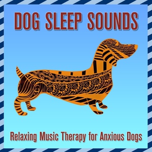 Обложка для Relaxmydog, Dog Music Dreams - Glassy Lake