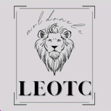 Обложка для Leo TC - Strainatate Haina Grea