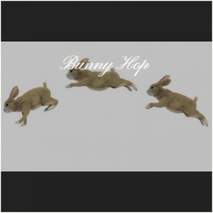 Обложка для Ray Anthony - Bunny Hop