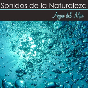Обложка для Sonidos Naturales Relax - Harmonia