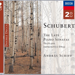 Обложка для András Schiff - Schubert: Piano Sonata No. 21 in B flat, D.960 - 1. Molto moderato