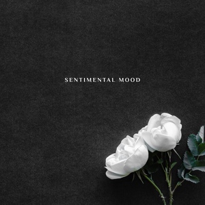 Обложка для Sentimental Piano Music Oasis - Improvisation
