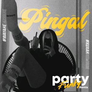 Обложка для Party Funky - Pingal