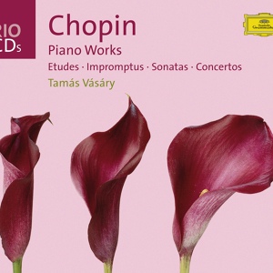 Обложка для Chopin - Etude, Op.10 - No. 2. in A minor "chromatique" (Tamás Vásáry)