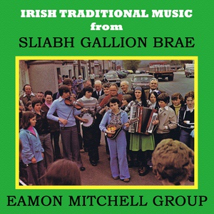 Обложка для Eamon Mitchell Group - Reels: Pigeon on the Gate/Tom Mulvihill's/Green Fields of Rossbeigh