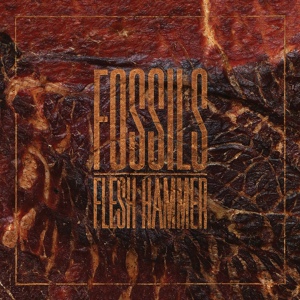 Обложка для Fossils - Filet Horizon