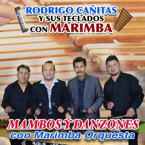 Обложка для Rodrigo Cañitas y sus Teclados con Marimba - Elodia