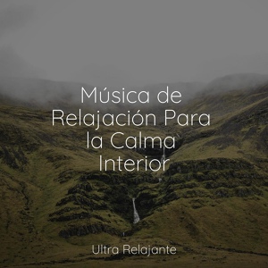 Обложка для Meditacion Budista Maestros, Massagem Música, Sueño Profundo - Prados Calmados