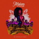 Обложка для DJ Flex - Meliza