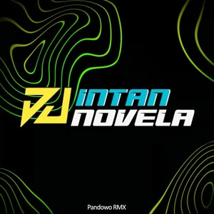 Обложка для DJ Intan Novela - DJ Tututu