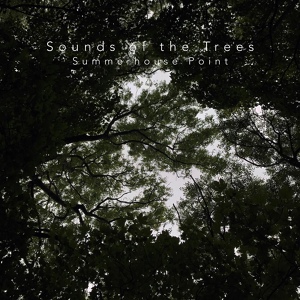 Обложка для Sounds of the Trees - Forceful Gust