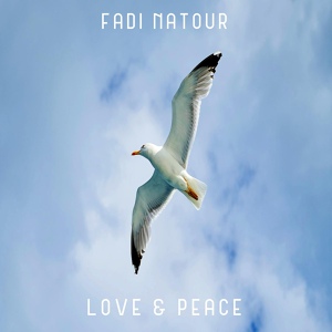 Обложка для Fadi Natour - Sky