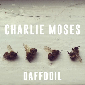 Обложка для Charlie Moses - Won't You Wait