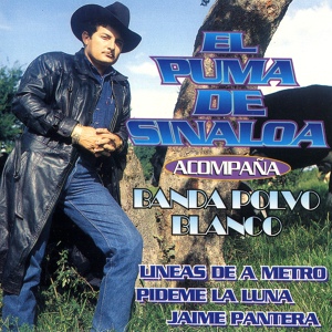 Обложка для El Puma De Sinaloa feat. Banda Polvo Blanco - El Palo Verde