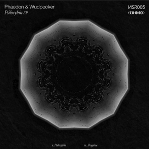 Обложка для Phaedon, Wudpecker - Psilocybin