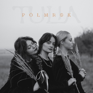 Обложка для Tulia - Półmrok