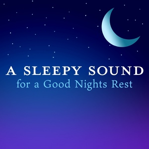 Обложка для Relaxing BGM Project - Sleep Dust