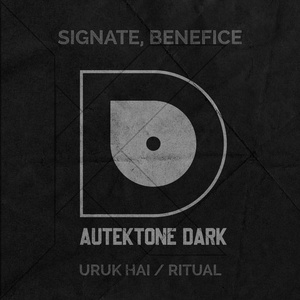 Обложка для Signate, Benefice - Ritual