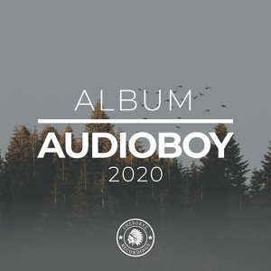 Обложка для Audioboy - Bring Me Up