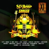 Обложка для Shaggy feat. Chronixx - Bridges
