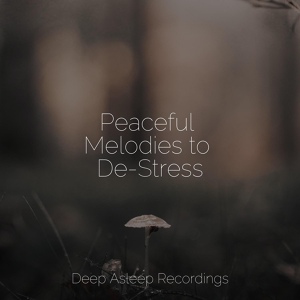 Обложка для Calming Sounds, Pink Noise, Deep Sleep Music Experience - Soothing