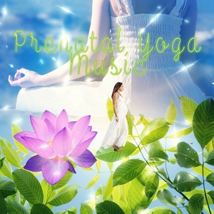 Обложка для Prenatal Yoga Music Academy - Secret Body (Meditation Music)