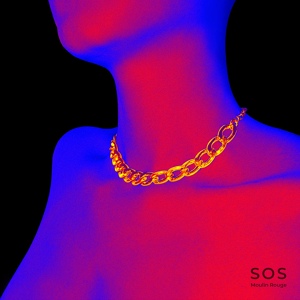 Обложка для SOS feat. Leywes FS - Pour vrai