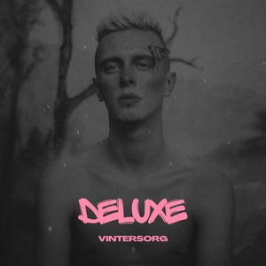 Обложка для Vintersorg - Deluxe
