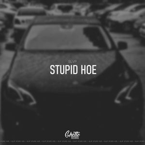 Обложка для SLVP - Stupid Hoe