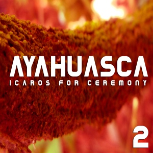 Обложка для Ayahuasca Icaros - Joy To Share