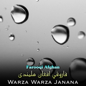 Обложка для Farooqi Afghan - Da Watan De Nor Abad She