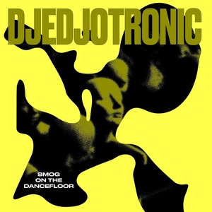 Обложка для Djedjotronic feat. REIN - Smog on the Dancefloor