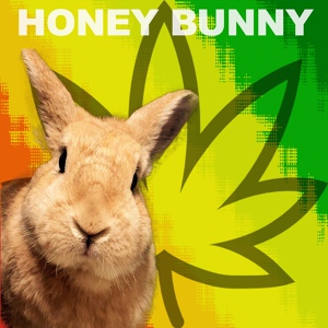 Обложка для Honey Bunny - Air