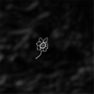Обложка для LeruoME - Lost Bloom