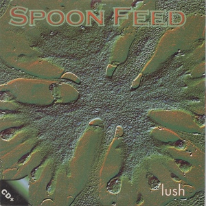 Обложка для Spoon Feed - The Definitive Fall