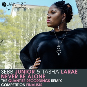 Обложка для Sebb Junior, Tasha LaRae - Never Be Alone (Eric Ericksson & Johan Olsson Remix)
