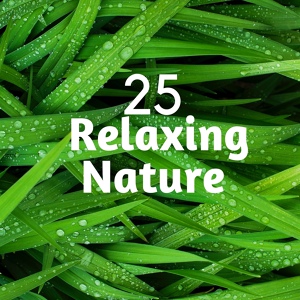 Обложка для Nice Dreams Masters - Relaxing Nature