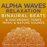 Обложка для Binaural Beats Research, David & Steve Gordon - The Peaceful Place Inside - 9.1 Hz Alpha Frequency Binaural Beats